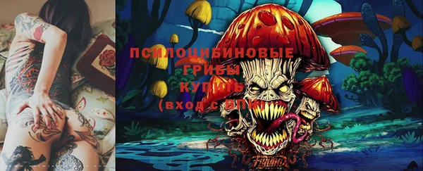 гашик Беломорск