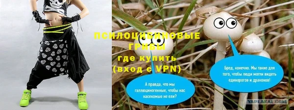 МДМА Белокуриха