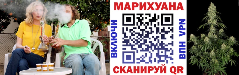 Каннабис сатива  магазин    Няндома 